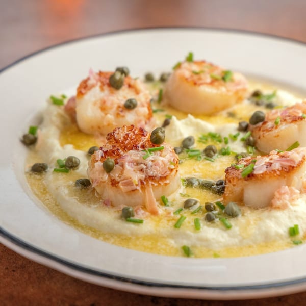 Seared scallops with capers, chives, and a creamy sauce on a white plate at Sterling's Restaurant.